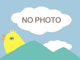TEST TEST